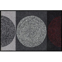 Tapis Nestor, Salonloewe Efia