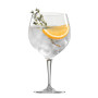 Coffret 4 verres Gin&Tonic, Spiegelau