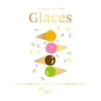 Le grand livre des glaces, Hachette