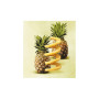 Coupe-ananas Professional, Gefu