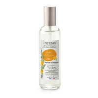 Vaporisateur 75 ml Ambre et baume, Esteban