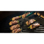 Grille fonte, Big Green Egg