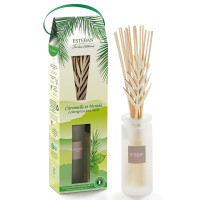 Bouquet parfumé 100ml Citronnelle et Menthe, Esteban