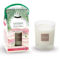 Bougie parfumée 180 gr Lotus et Amande Douce, Esteban