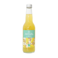 Kombucha Citron et Gingembre Bio 33cl, Atika