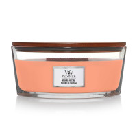 Bougie Ellipse parfumée Nectar de Manuka, Woodwick