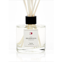 Diffuseur de parfum Figuier, Geodesis