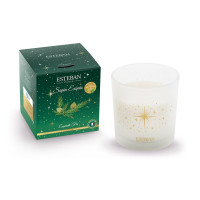 Bougie parfumée 450g Sapin exquis, Esteban